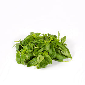 Basil