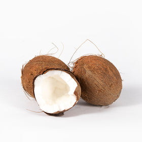 Coconut