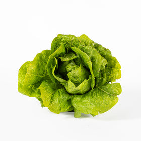 Lettuce